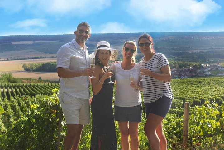 The vineyards