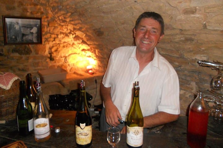 Beaujolais Wine Discovery - Half Day - Small group tour from Lyon