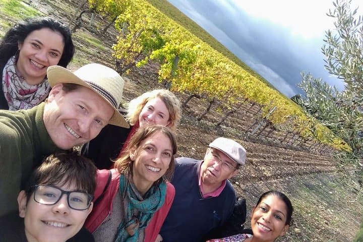 vineyard