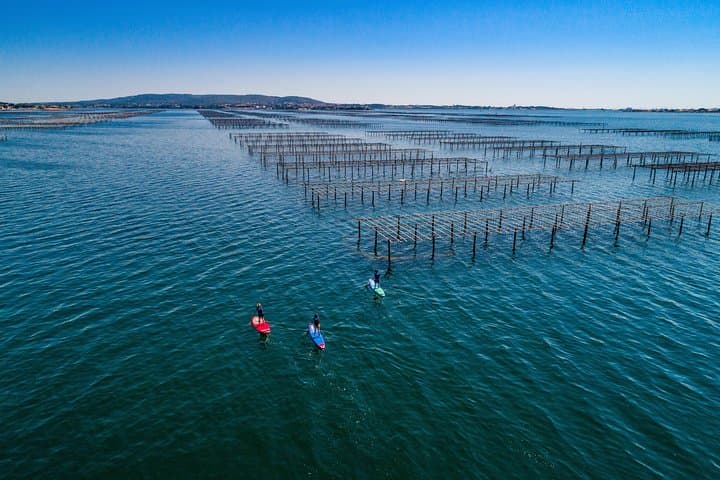 Stand-up-paddle on Laguna of Thau, rental, Sete