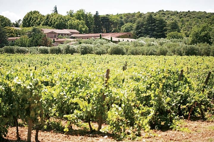 vignobles