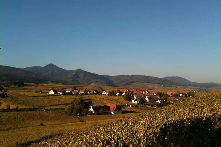 View of Ribeauvillé from the Zellenberg promontory