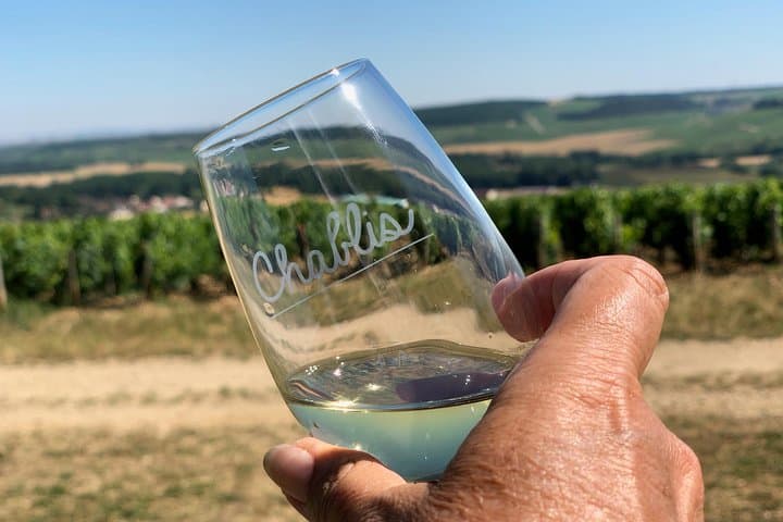 Burgundy Wine Tasting Small-Group Tour in Chablis from Paris