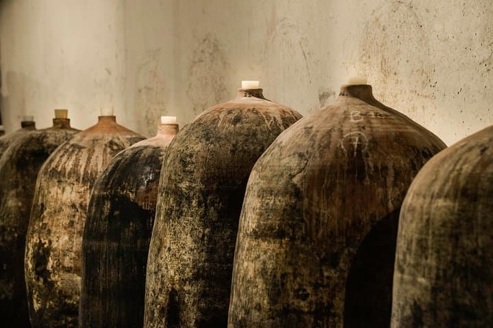 Castle of Selve - The amphoras