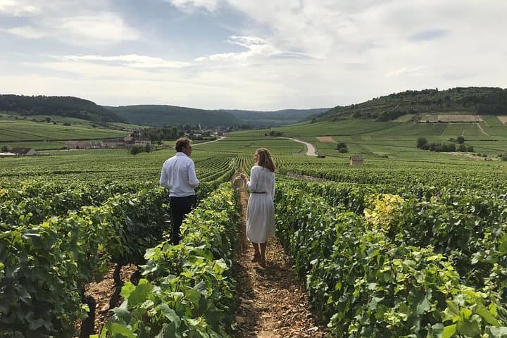 Private full day tour in Burgundy : Historic & Wine Journey