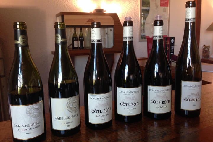 Cotes du Rhone Wine Tour (9:00 am to 5:15 pm) - Small Group Tour from Lyon