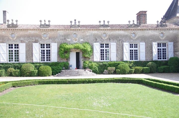 Saint-Emilion vineyard