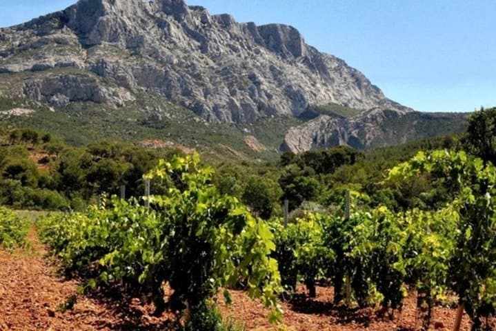Aix En Provence and Wine Tasting Private Full day Tour