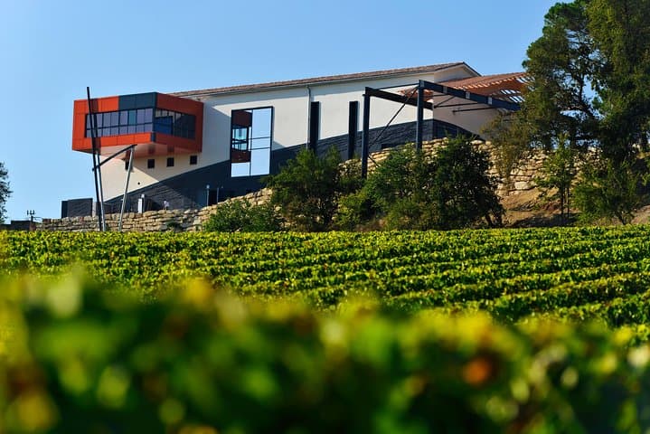 Saint-Emilion Grand Cru Classified: Picnic & Visit in French