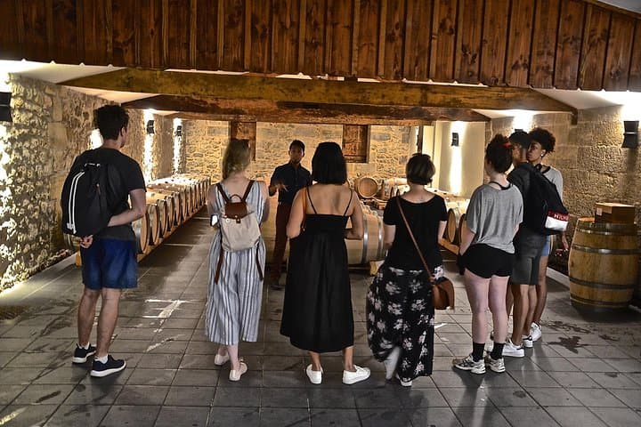 "Explore Saint-Émilion on e-Bikes: Small Group, half-Day Tour"