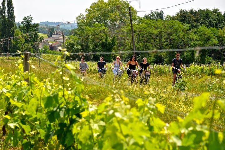 "Explore Saint-Émilion on e-Bikes: Small Group, half-Day Tour"