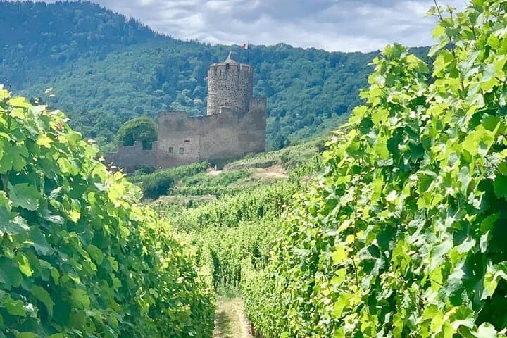 Discover Kaysersberg, and climb to the dungeon