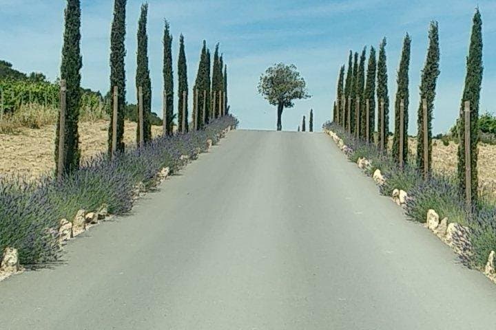5-Hour Private Sightseeing Tour of the Provence from Marseille in Luxury Car