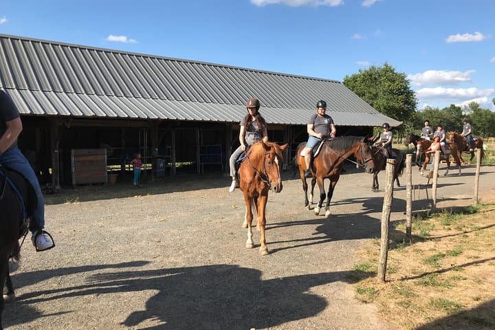 Horse ride
