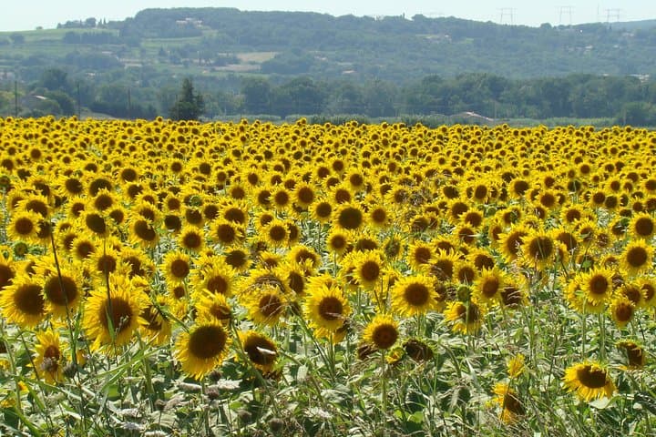 Sightseeing in France