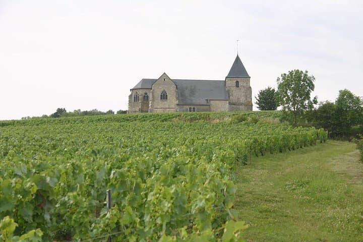 Champagne Day Tours