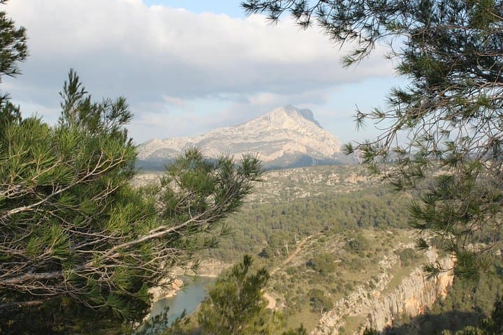 Highlights of Provence : food, wine and seaside in Cassis and Aix