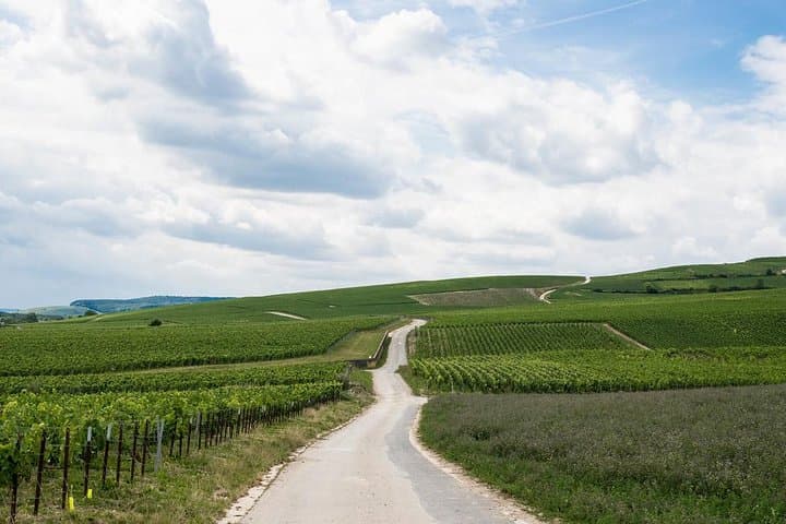 Private Champagne Tour and Reims from Paris with Hotel Pick Up