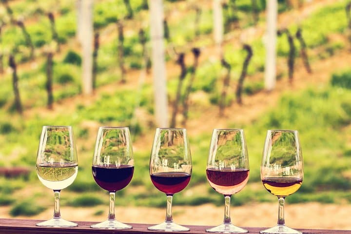 Wine tasting