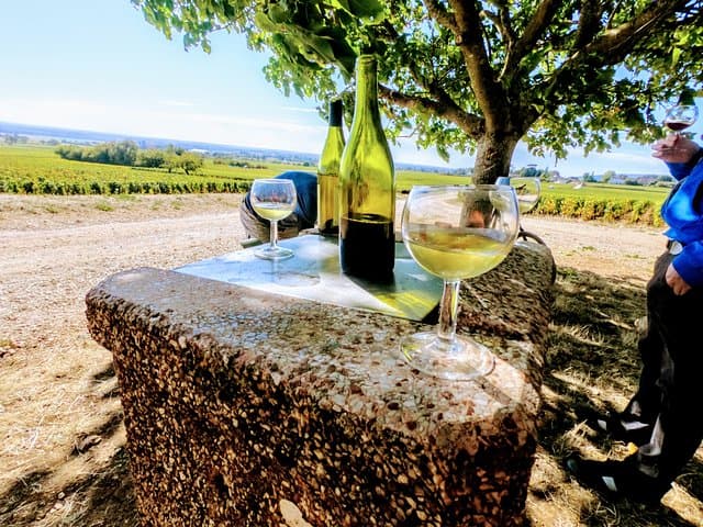 Discovery by bike & Tasting in the vineyards