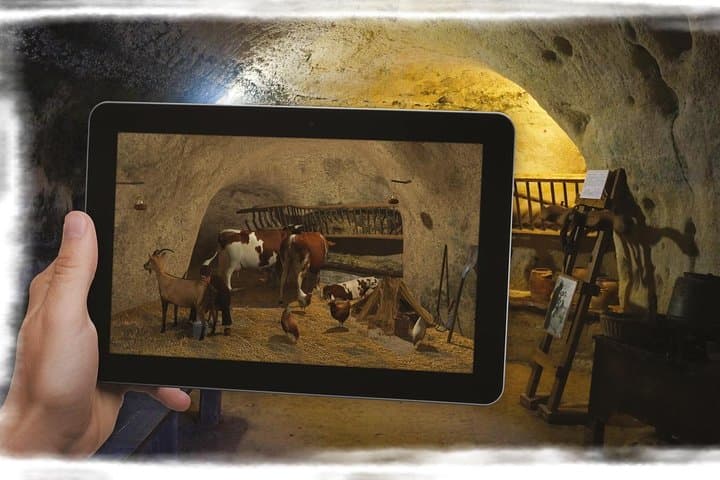 Cave Museum Village Troglodyte of Rochemenier Admission Ticket