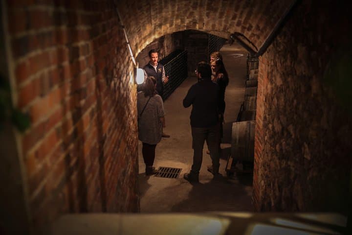 Private Full Day Tour - Visit of 3 Champagne Growers from Reims.