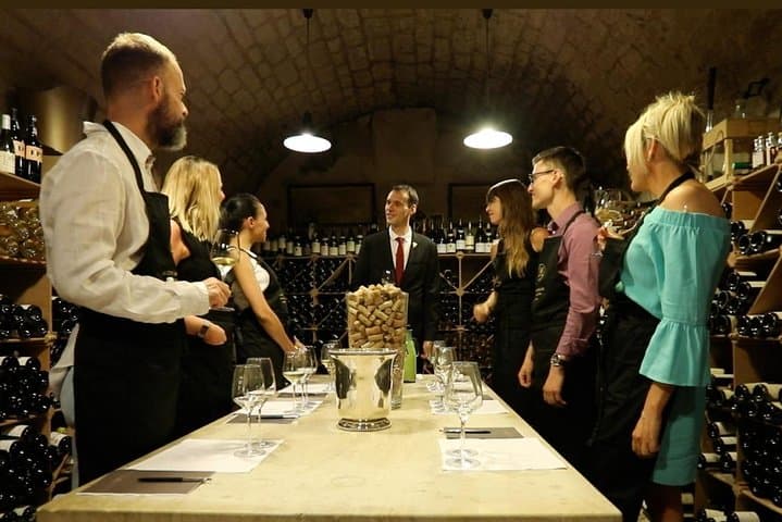 Loire Valley Wine & Castle Tour from Paris With Tasting & Pickup