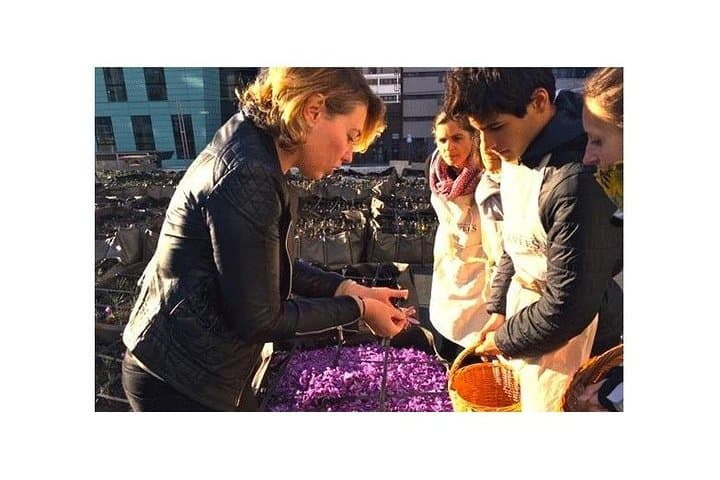 Pick Saffron Paris