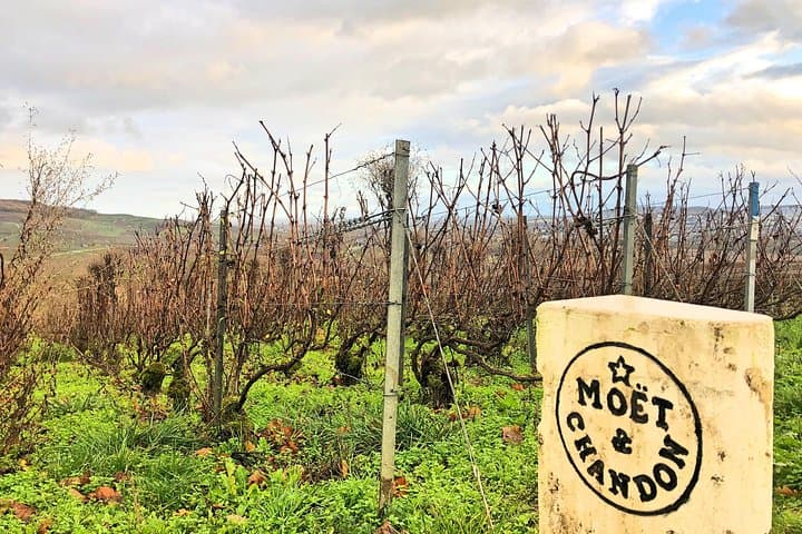 Champagne Tour from Paris: Moet and Chandon, Hautvillers and the House of Mumm