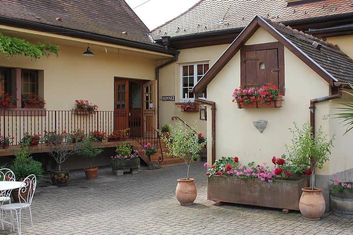 Taste Alsace: Tasting of our Alsace wines - No cellar tour