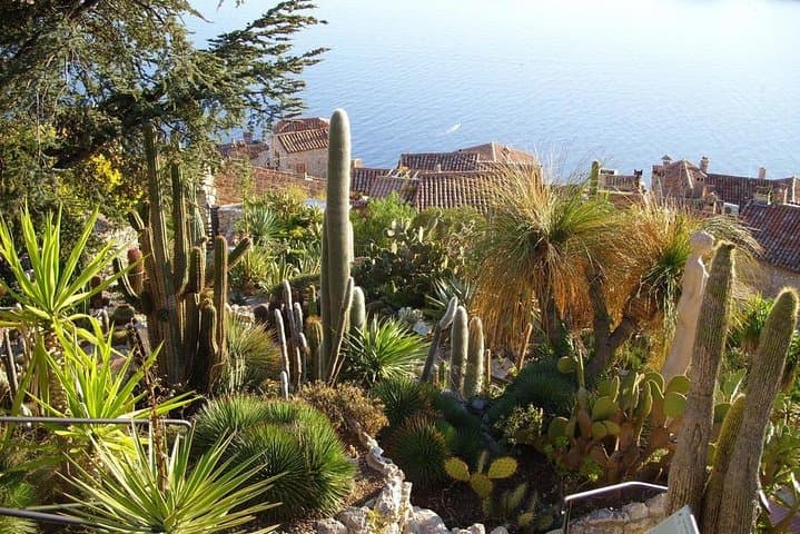 Nice: Italian Market, Eze, and Turbie Tour.