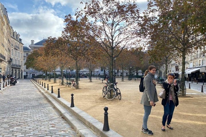 Paris & Louvre Semi Private or Private Tour with Île de la Cité