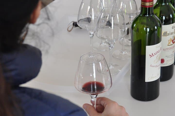 Half-day tour to Saint Emilion, a UNESCO site, with a private guide