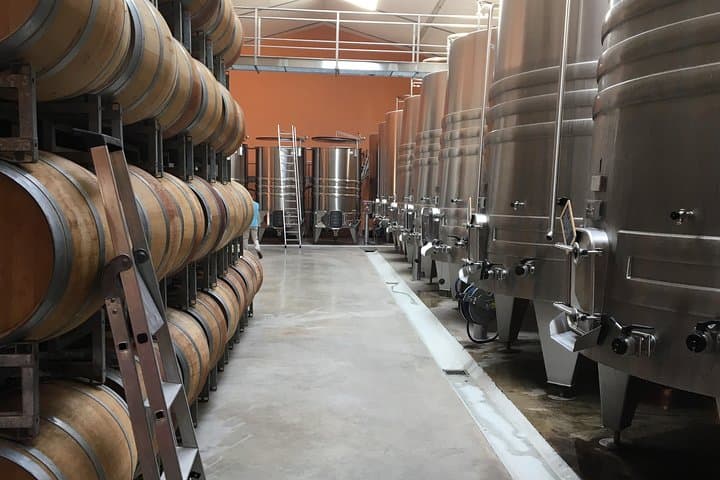 Half-day tour to Saint Emilion, a UNESCO site, with a private guide