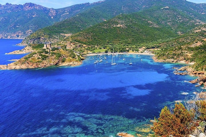 Calanches de Piana and Scandola Reserve cruise with swimming stop