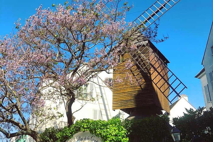 Fat Cat gets the Early Bird: Montmartre