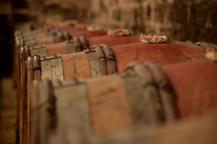 Cellar in Chambolle-Musigny