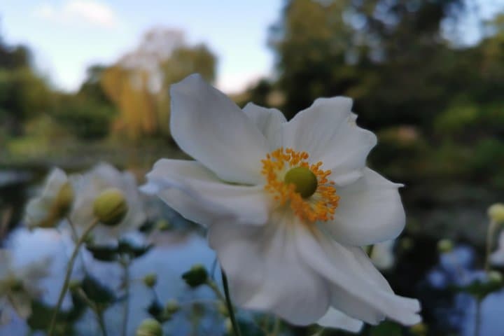 Giverny & Rouen Private Tour from Paris