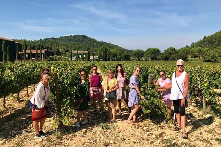 in the vineyards