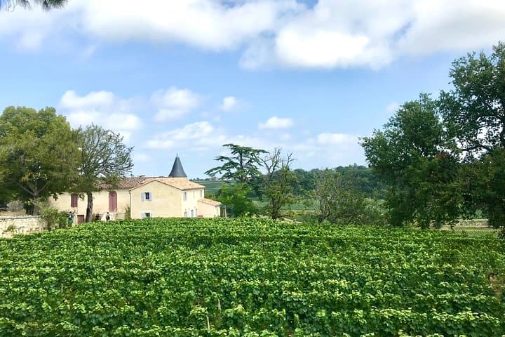 Private Wine Tour in a 2CV vintage car from Bordeaux
