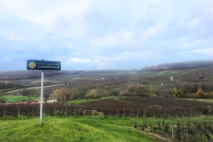 Champagne Area Small-Group Tour including a Top Champagne house & Family Winery