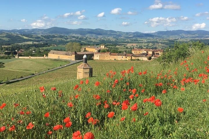 Beaujolais & Perouges Medieval Town - Private Tour - Full Day from Lyon