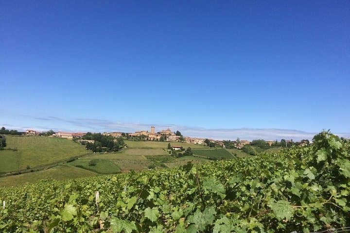 Beaujolais & Perouges Medieval Town - Private Tour - Full Day from Lyon