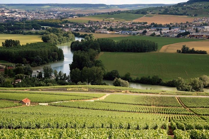 Discover Champagne landscapes.