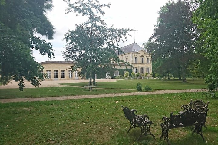 A day in Saint-Emilion in a small group (Electric Luxury Van)