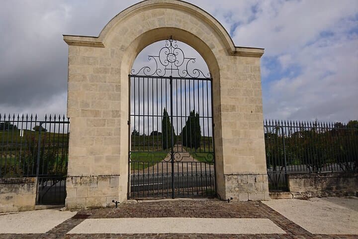 A day in Saint-Emilion in a small group (Electric Luxury Van)