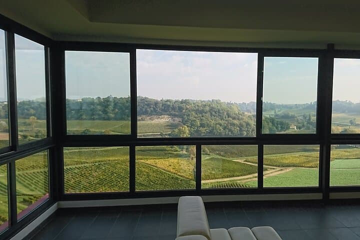 A day in Saint-Emilion in a small group (Electric Luxury Van)