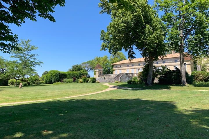 A day in Saint-Emilion in a small group (Electric Luxury Van)