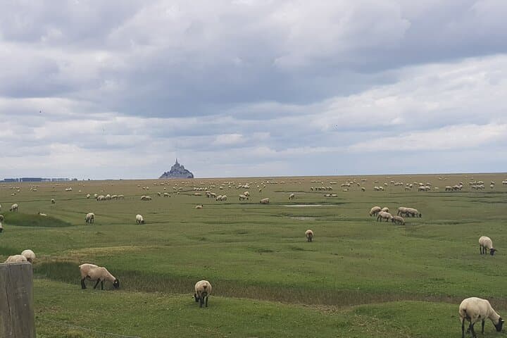 Day trip with local driver to Mt Saint-Michel Cancale and Saint-Malo from Rennes