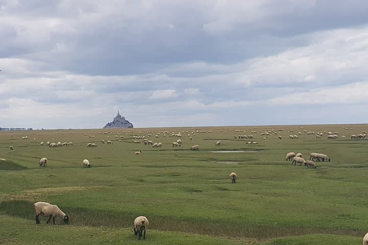 Private Day Trip to Mont Saint-Michel from Saint-Malo with local driver-guide